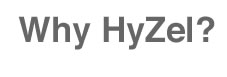 why hyzel